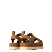 Load image into Gallery viewer, Goldenstar Chestnut