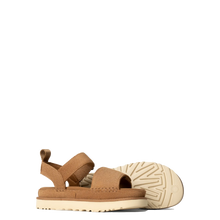 Load image into Gallery viewer, Goldenstar Chestnut