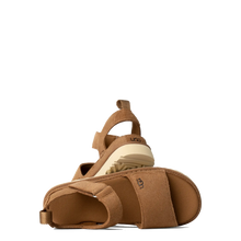 Load image into Gallery viewer, Goldenstar Chestnut