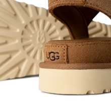 Load image into Gallery viewer, Goldenstar Chestnut