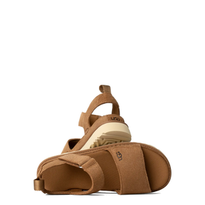 Goldenstar Chestnut