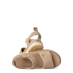 Goldenstar Sand