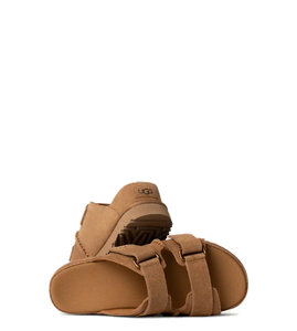 Goldenstar Hi Slide Chestnut (Women)