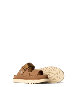 Goldenstar Glide Chestnut (Women)