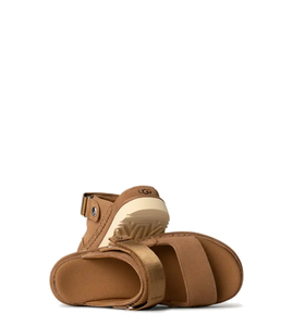 Goldenstar Glide Chestnut (Women)