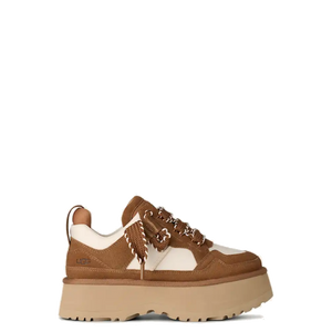 Astromel Chestnut