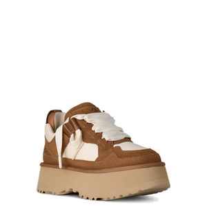 Astromel Chestnut
