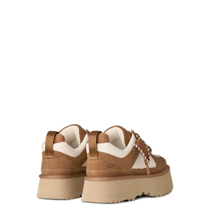 Astromel Chestnut