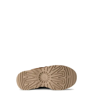 Astromel Chestnut