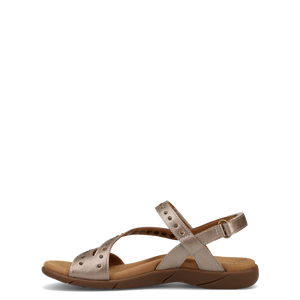 Dazzle Champagne