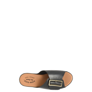 York Black