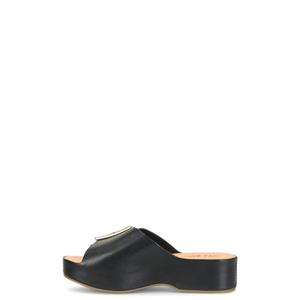 York Black